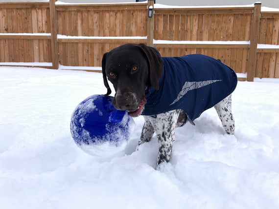 Top 3 favorite winter toys (according to Waylon)