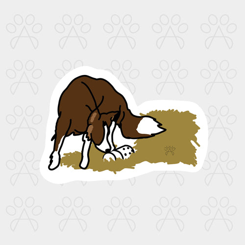 BARN HUNT STICKER