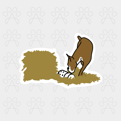 BARN HUNT STICKER