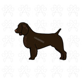 Boykin Spaniel Sticker