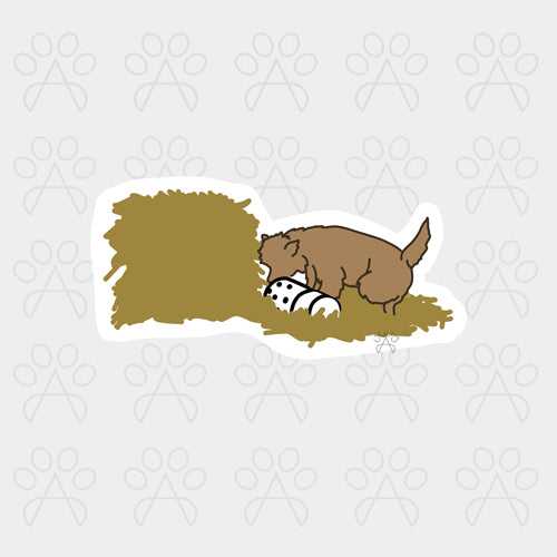BARN HUNT STICKER