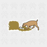 BARN HUNT STICKER
