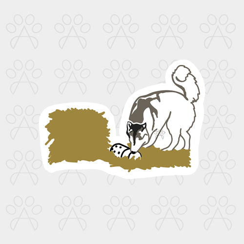 BARN HUNT STICKER