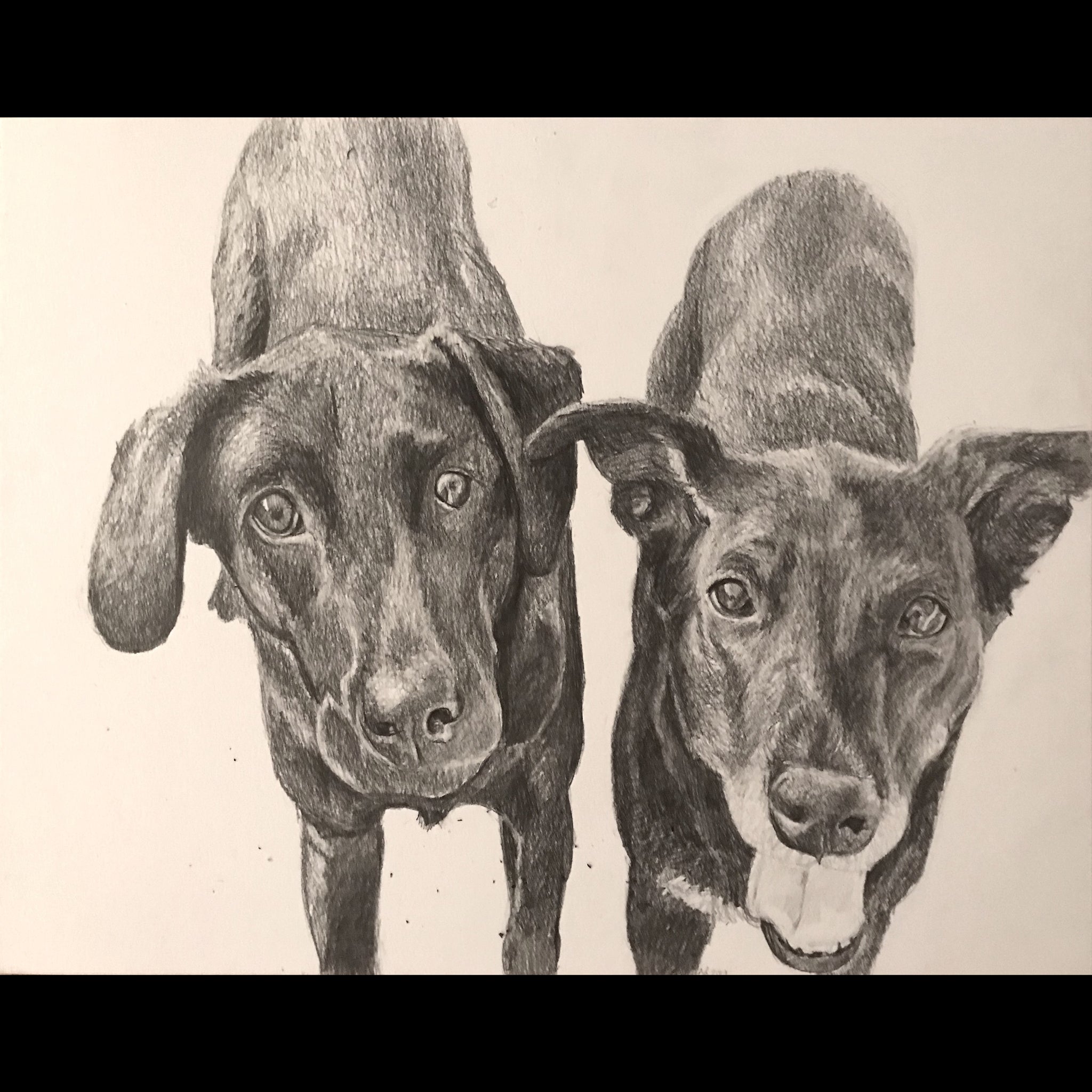 Pencil drawing: 11x14" Dual Subject