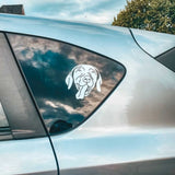 DECAL