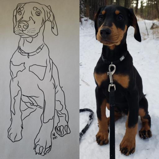 LINE DRAWING: CUSTOM DIGITAL