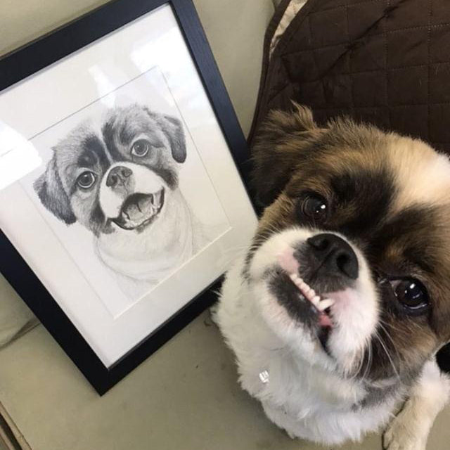 Pencil drawing: 11x14" Single Subject