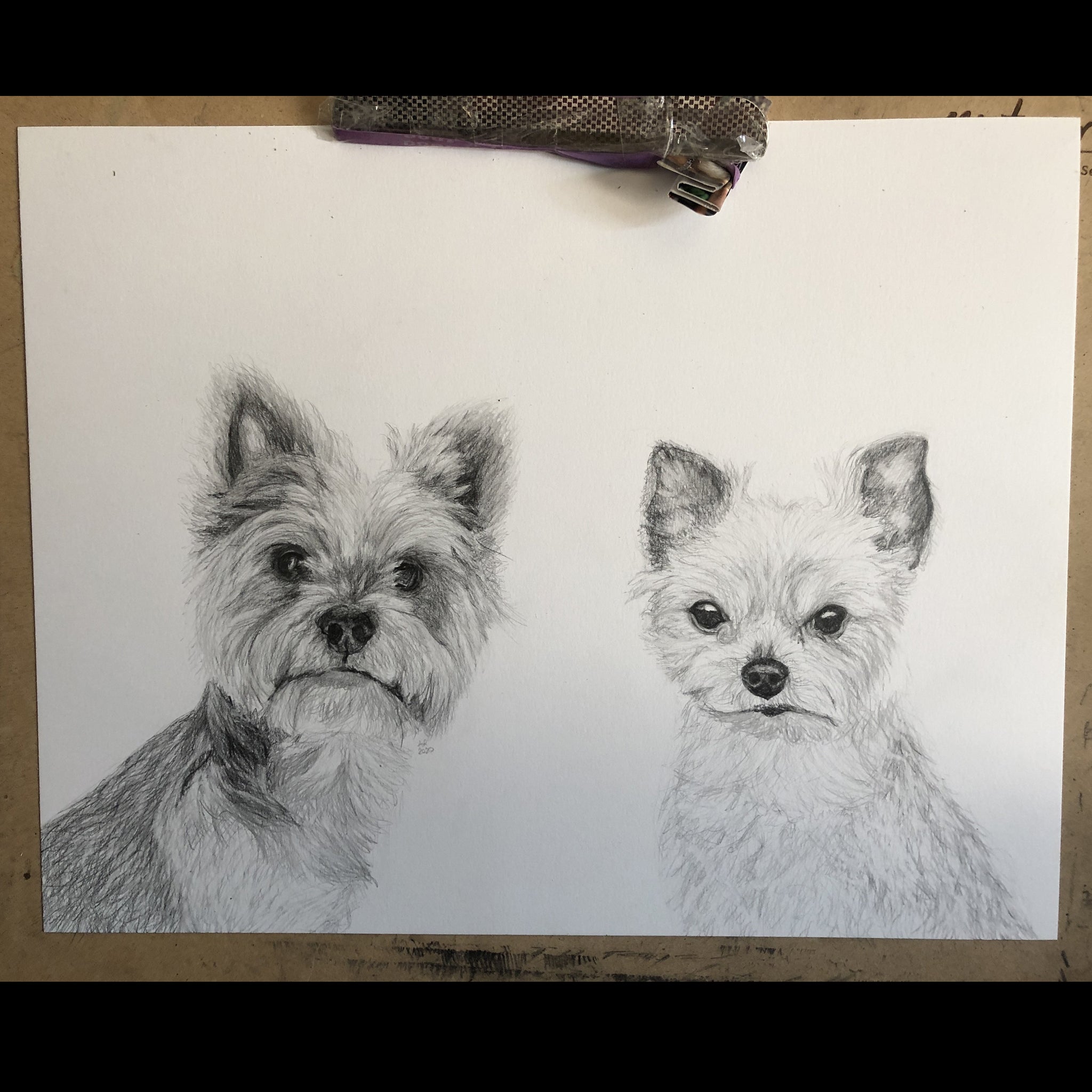 Pencil drawing: 11x14" Dual Subject